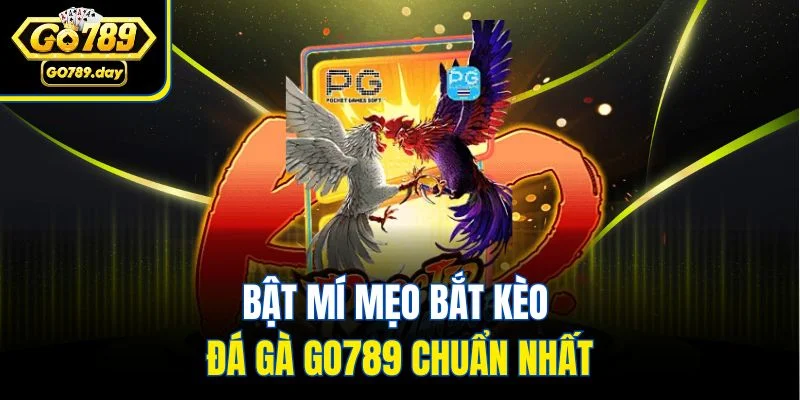 Bật mí mẹo bắt kèo đá gà GO789 chuẩn nhất