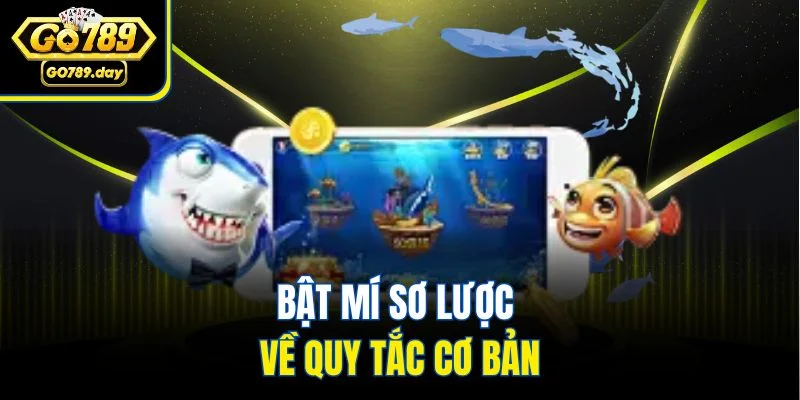 Bật mí sơ lược về quy tắc cơ bản
