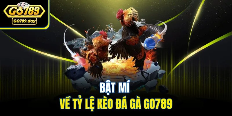 Bật mí về tỷ lệ kèo đá gà GO789