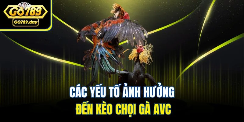 Các yếu tố ảnh hưởng đến kèo chọi gà AVC