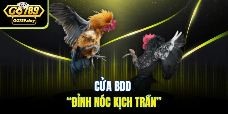 Cửa BDD “đỉnh nóc kịch trần”