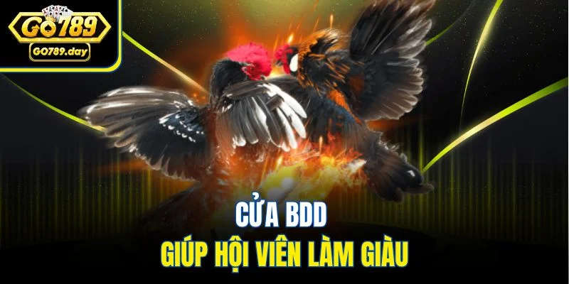 Cửa BDD giúp hội viên làm giàu