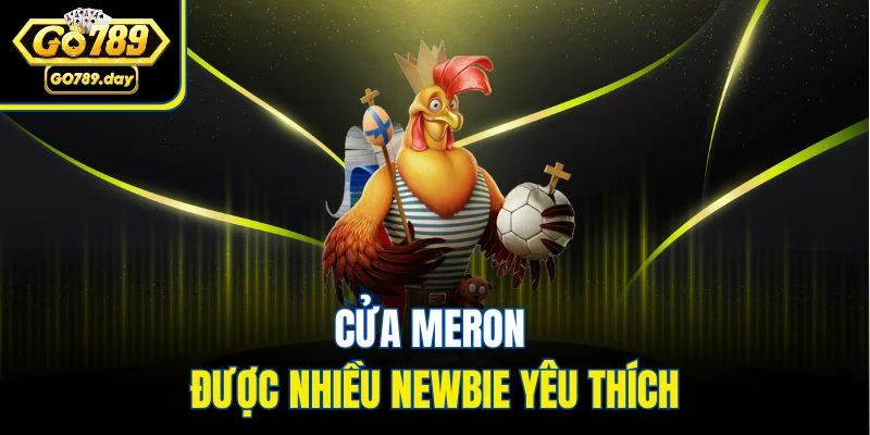 Cửa Meron được nhiều newbie yêu thích