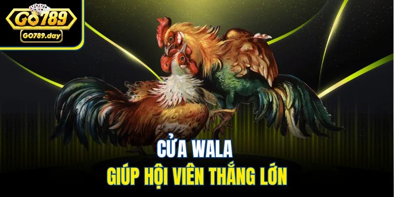 Cửa Wala giúp hội viên thắng lớn
