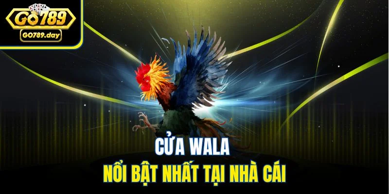 Cửa Wala nổi bật nhất tại nhà cái