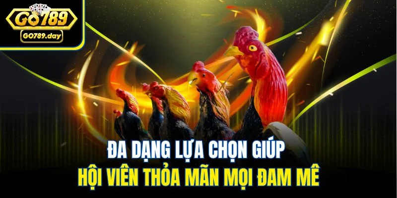 Đa dạng lựa chọn giúp hội viên thỏa mãn mọi đam mê