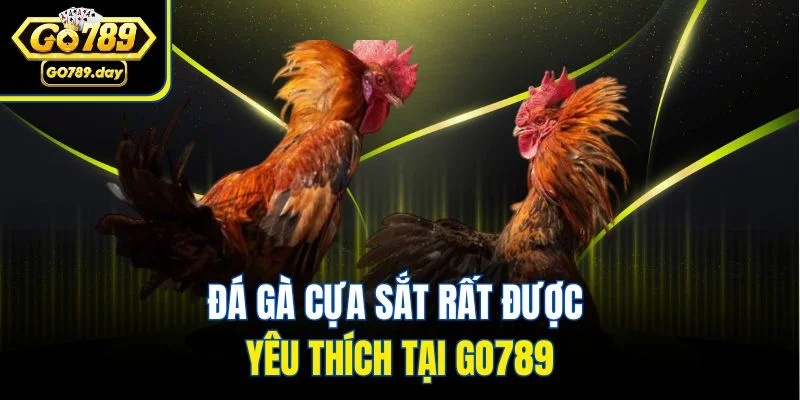 Đá gà cựa sắt rất được yêu thích tại Go789