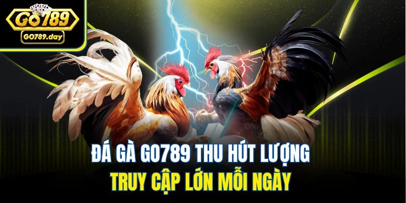 Đá gà GO789 thu hút lượng truy cập lớn mỗi ngày