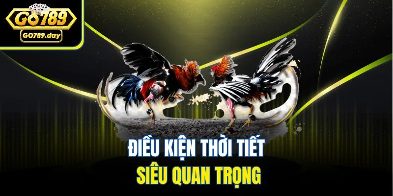 Điều kiện thời tiết siêu quan trọng