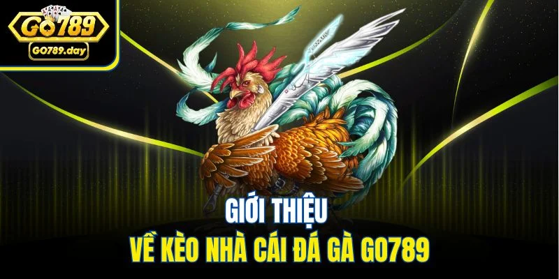 Giới thiệu về kèo nhà cái đá gà GO789