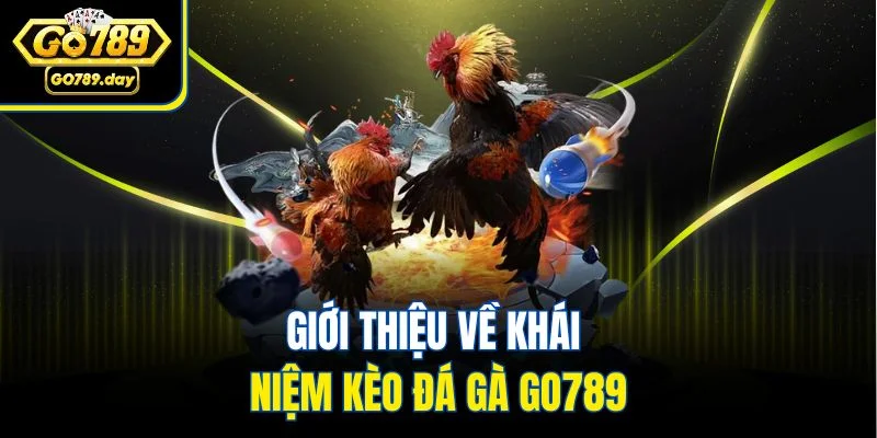 Giới thiệu về khái niệm kèo đá gà GO789
