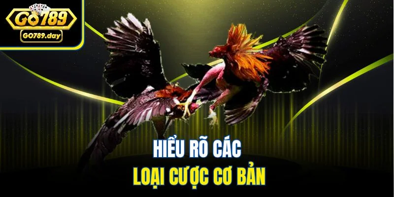 Hiểu rõ các loại cược cơ bản