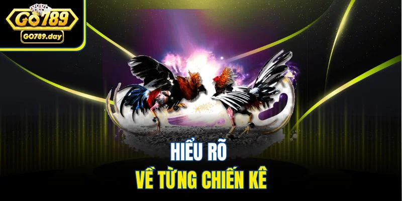 Hiểu rõ về từng chiến kê
