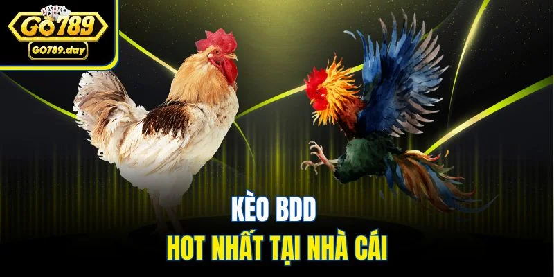 Kèo BDD hot nhất tại nhà cái