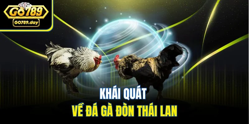 Khái quát về đá gà đòn Thái Lan