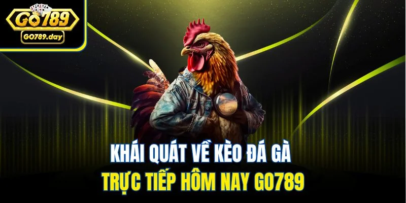 Khái quát về kèo đá gà trực tiếp hôm nay GO789