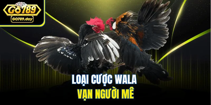 Loại cược Wala vạn người mê