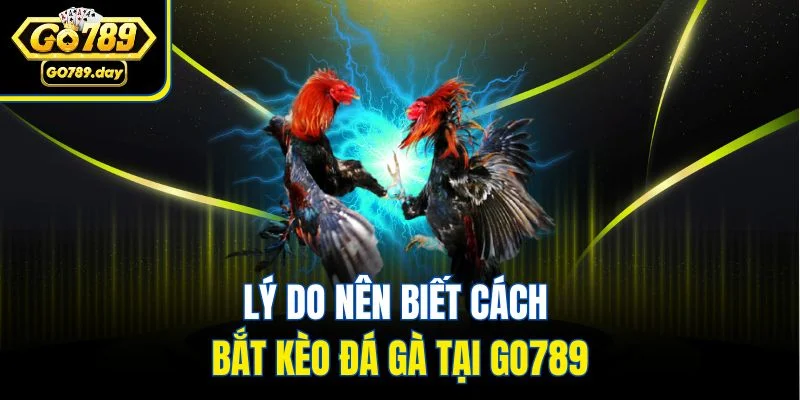 Lý do nên biết cách bắt kèo đá gà tại GO789