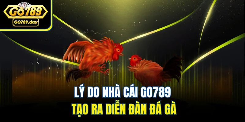 Lý do nhà cái GO789 tạo ra diễn đàn đá gà