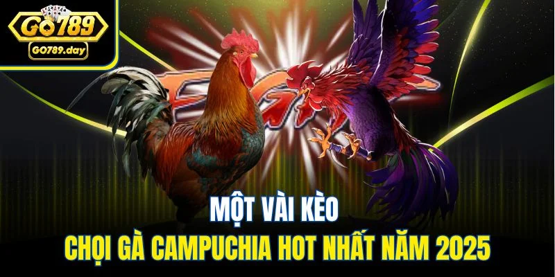 Một vài kèo chọi gà Campuchia hot nhất năm 2025