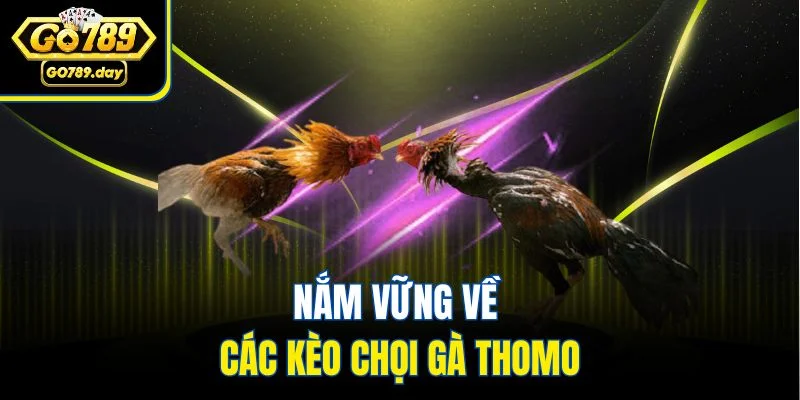 Nắm vững về các kèo chọi gà Thomo