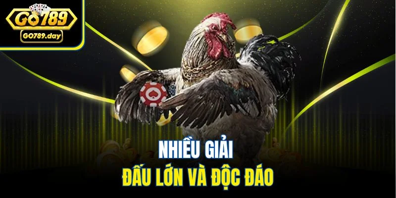 Nhiều giải đấu lớn và độc đáo