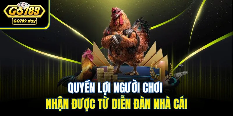 Quyền lợi người chơi nhận được từ diễn đàn nhà cái