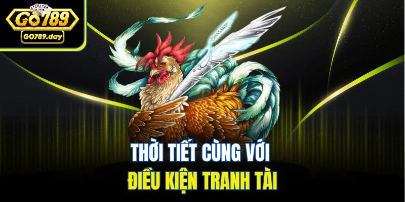 Thời tiết cùng với điều kiện tranh tài