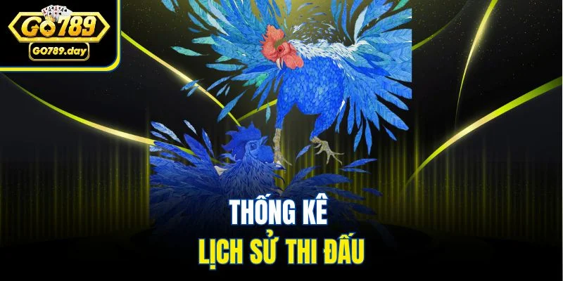 Thống kê lịch sử thi đấu