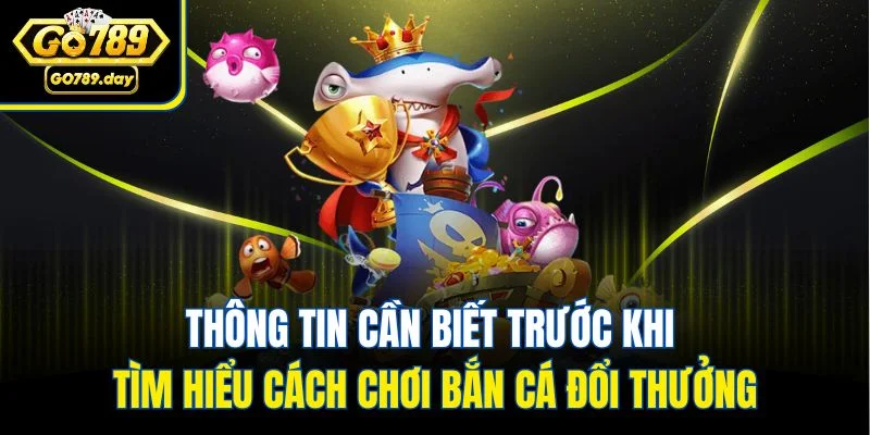 Thông tin cần biết trước khi tìm hiểu cách chơi bắn cá đổi thưởng