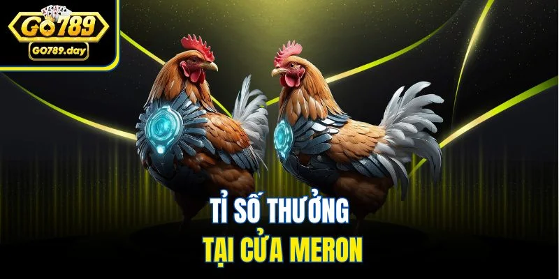 Tỉ số thưởng tại cửa Meron